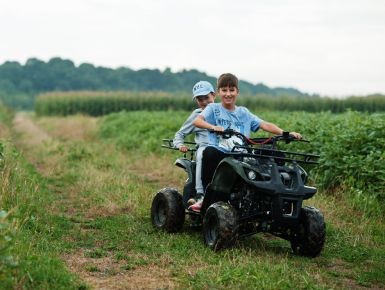 Perfect Quad Bikes for Toddlers Just Starting Out